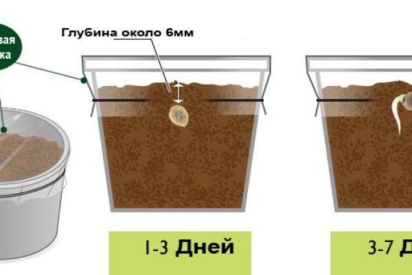 Через какой браузер можно зайти на кракен